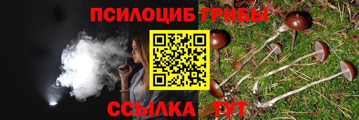 Галлюциногенные грибы GOLDEN TEACHER Кинель