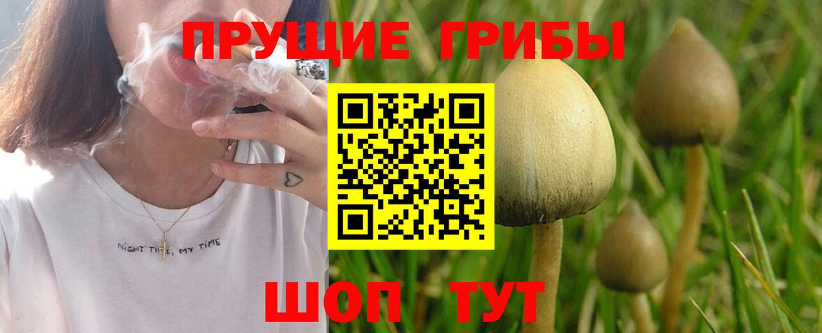 Кинель  Галлюциногенные грибы Magic Shrooms  Псилоцибиновые грибы мицелий  Вход с VPN 